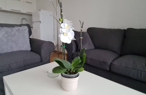 Hammfeld House | Features of Good And Night