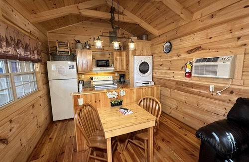 Candler Cabin | Feelin Frisky? - Hot Tub, Fireplace, Romantic, View, Near Downtown,WiFi, Pets