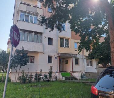 Petrosani Apartment | Fely Room