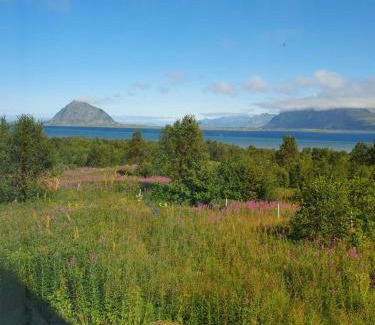 Bostad House | Feriehus med utsikt mot fjellet Hoven