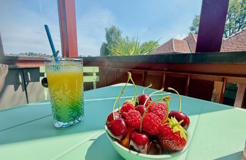 Kressbronn Apartment | Ferienapartment Seezauber - zauberhafter Urlaubsgenuss in Kressbronn
