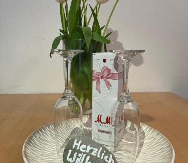 Fischbach Apartment | Ferienapartment Alex am See