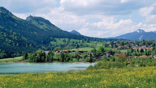 Schwarzenbach Apartment | Ferienappartements Weissensee