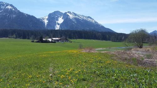 Ruhpolding House | Ferienhaus Froschsee inkl. Chiemgaukarte