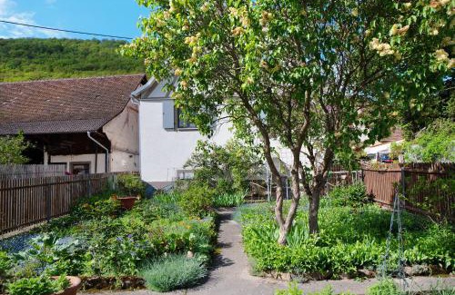Badenweiler House | Ferienhaus Hildahüsli