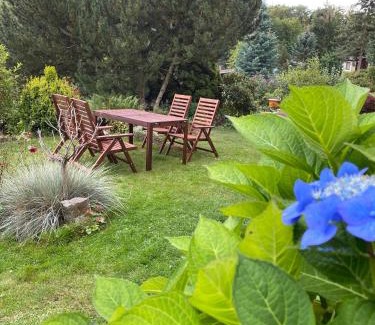 Wienrode House | Ferienhaus im Harz, direkt am Wald, Terrasse&Garten, Grill, ruhige Lage, WLAN, Wandern,