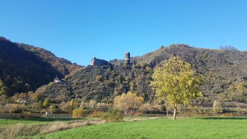 Kurrenberg Apartment | Ferienhaus Leopold mit Burgblick an der Mosel