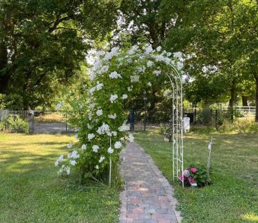 Wandlitz House | Ferienhaus mit Terrasse und Garten in Wandlitz