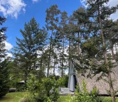 Milmersdorf House | Ferienhaus Reetdach 1300qm Privatgrundstück Bootssteg Sauna Templin Lübbesee Uckermark Erholung pur Seenplatte