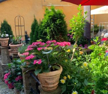Brione sopra Minusio Apartment | Ferienhaus, Rustico Auf Burg