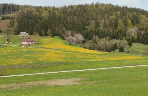 Barnkopf Apartment | Ferienhaus Schöller