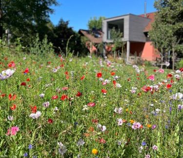 Straupitz Apartment | Ferienloft Libela Straupitz im Spreewald