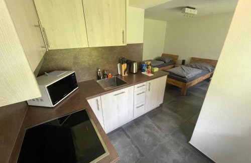 Wassen Apartment | Ferienregion Andermatt - Studio in Wassen