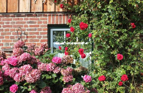 Beschendorf Apartment | Ferienvermietung Meerlandliebe
