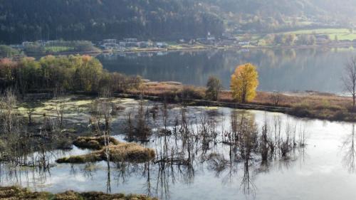 Steindorf am Ossiacher See Apartment | Ferienwohnung Kamot