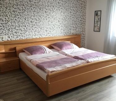 Schwarzenbach an der Saale Apartment | Ferienwohnung Waldhütter