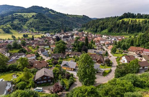 Schoenau im Schwarzwald Apartment | Ferienwohnung Schönblick