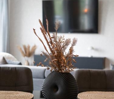 Pouch Apartment | Ferienwohnung Agora Penthouse am Goitzschesee