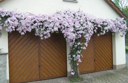 Ochsenfurt Apartment | Ferienwohnung Am Alten Berg