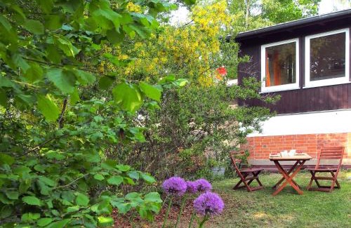Dummer Apartment | Ferienwohnung am Dümmer See