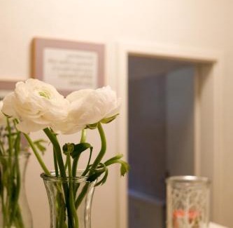 Sebnitz Apartment | Ferienwohnung am Wald