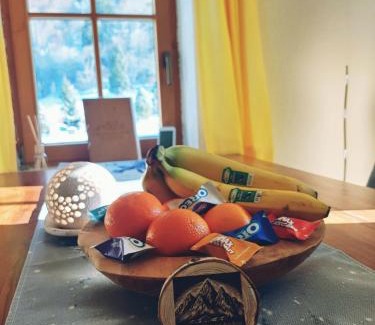 Sankt Gallenkirch Apartment | Ferienwohnung Andrea