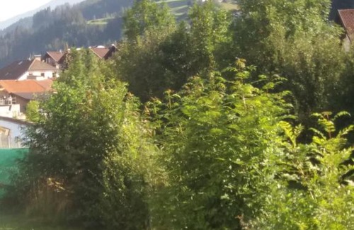 Steinach am Brenner Apartment | Ferienwohnung "Die 14"