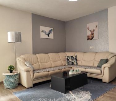 Aue Apartment | Ferienwohnung Bamberger mit Wintergarten