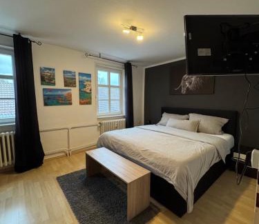 Melsungen Apartment | Ferienwohnung Bartenwetzerbrücke 3