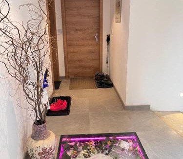 Schonstett Apartment | Ferienwohnung beim Mane