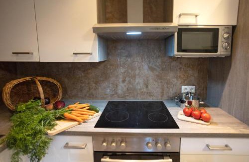 Frickenhausen Apartment | Ferienwohnung Burgblick im Neuffener Tal mit Sauna und Wallbox