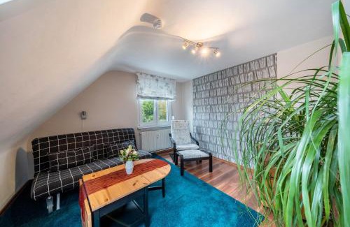 Hausach Apartment | Ferienwohnung Burgblick