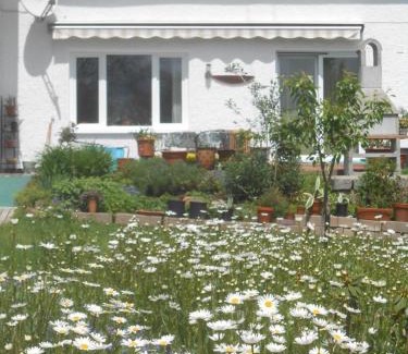 Spiegelau Apartment | Ferienwohnung Casa MIA
