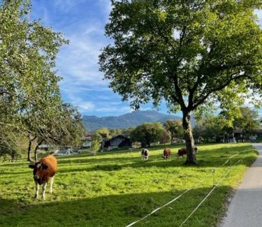 Frasdorf Apartment | Ferienwohnung Florina