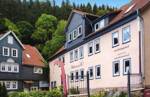 Friedrichroda Apartment | Ferienwohnung, Friedrichroda, cleaning included