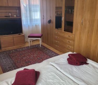 Korneuburg Apartment | Ferienwohnung Korneuburg bei Wien -1