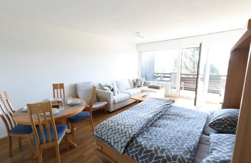 Schonach im Schwarzwald Apartment | Ferienwohnung Martin