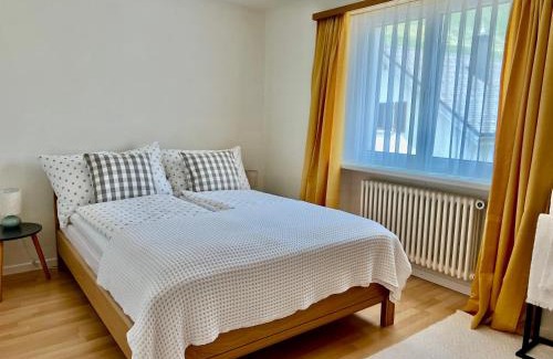 Realp Apartment | Ferienwohnung Michels