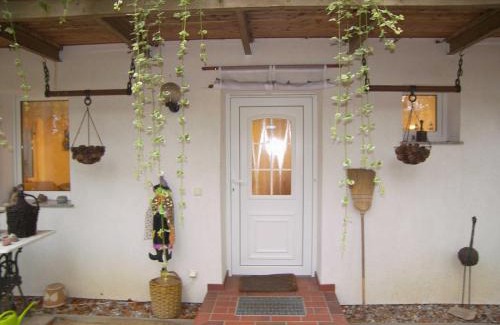 Koelpinsee Apartment | Ferienwohnung Moewennest