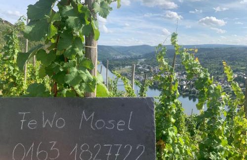 Wehlen Apartment | Ferienwohnung Mosel