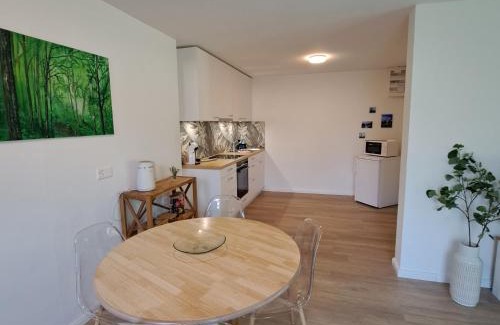 Saint Georgen Ot Brigach Apartment | Ferienwohnung Muota