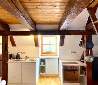 Landshut Apartment | Ferienwohnung Nepomuk