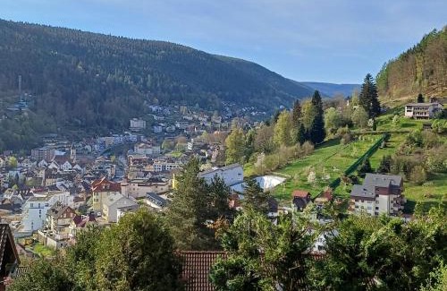 Bad Wildbad Apartment | Ferienwohnung Panoramablick