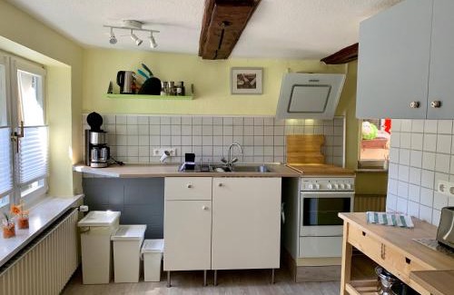 Wildemann Apartment | Ferienwohnung Pusteblume