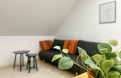 Polch Apartment | Ferienwohnung Schönes Maifeld