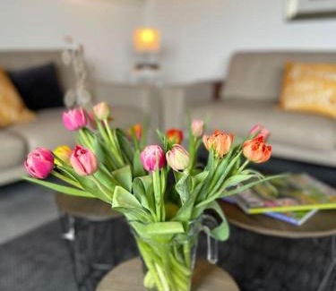Mastershausen Apartment | Ferienwohnung Sofie