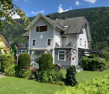 Doebriach Apartment | Ferienwohnung Steinwender