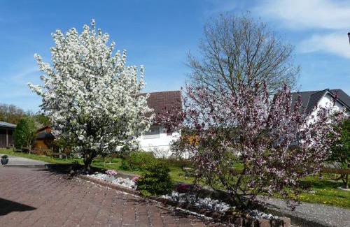 Rhein-Lahn-Kreis District Apartment | Ferienwohnung Udo und Stefani Laux