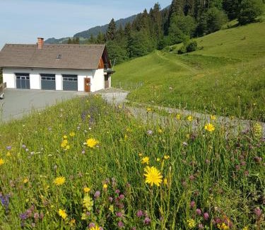 Dellach Apartment | Ferienwohnung Wieserberg