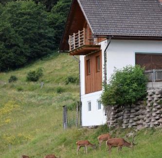 Dellach Apartment | Ferienwohnung Wieserberg